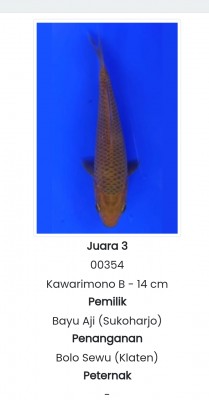 Mini Champion (Kamboja)